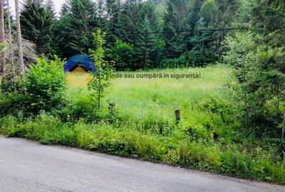 Teren Construcții intravilan de 14114 mp, în Schitu Tarcău - 8