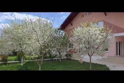 Casă cu 4 camere în Siliștea Snagovului - 4