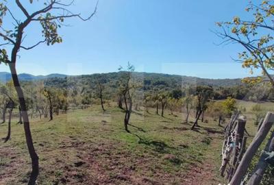 Teren de 7382 mp, în Central