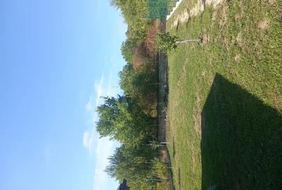 Casă cu 2 camere în Călinești