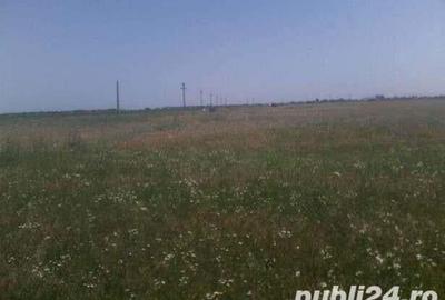 Teren de 12200 mp, în Mihăilești - 7