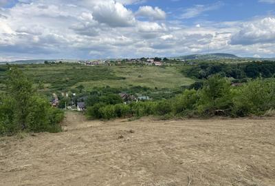 Teren Intravilan, Loturi 619 - 1124 mp, zona Verde, Visan - 4