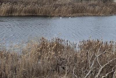 Teren de 110000 mp, în Petrești - 2