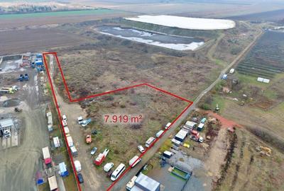 Teren 7.919mp com. Vladimirescu jud. Arad - 1