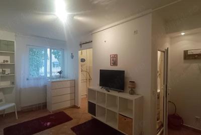 Garsonieră semidecomandată în Pantelimon - 4