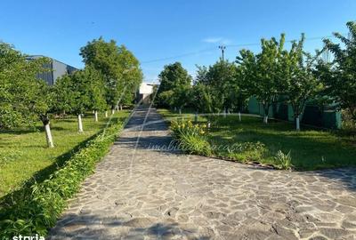 Casă cu 4 camere în Dumbrăveni - 19