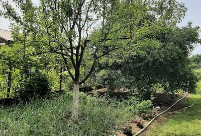 Casă cu 7 camere cu Teren 2745 Mp în Central - 2