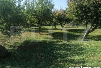 Casă cu 8 camere cu Teren 8800 Mp în Adâncata - 8