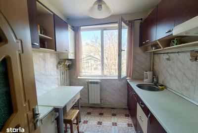 Apartament cu 2 camere semidecomandat în Paltin - 2