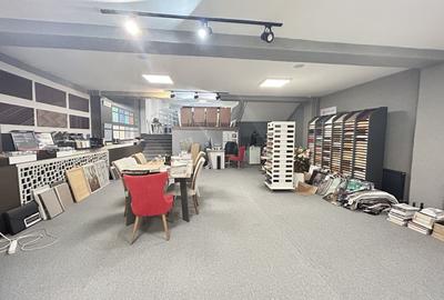 Imobil S+D+P+E+M - Centru - str. Siretului v-a-v de Regina Maria 678mp - 9