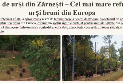 Teren Construcții intravilan de 12000 mp, în Tohanu Vechi - 12