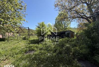Casă cu 2 camere cu Teren 1032 Mp în Meteș - 3