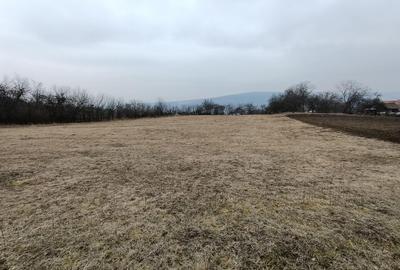 Spațiu comercial, în Popești - 1