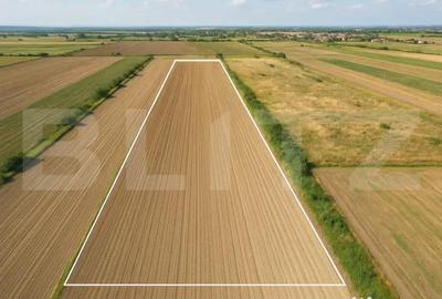 Teren de 11600 mp, în Stupini