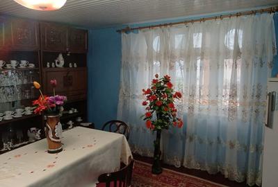 De vânzare casā independentă cu teren +vie si solar preț negociabil - 13