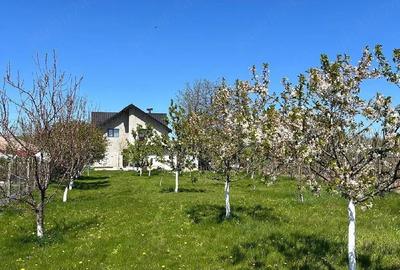 Casă cu 4 camere cu Teren 120 Mp în Țuțora - 4