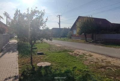 Teren de 757 mp, în Orțișoara - 2