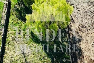 Casă individuală cu 6 camere cu Canalizare în Giarmata - 17