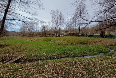 Resita, Teren Drept Intravilan, Langa Prau si Drum, 1308 Mp. - 12