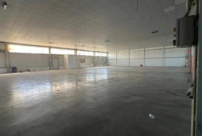 Hala 1400 pentru depozitare sau productie Hala 1400 pentru depozitare sau productie - 10