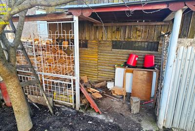 Casă cu 4 camere cu Teren 6000 Mp în Exterior Nord - 8