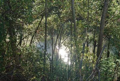 Spațiu comercial, în Ciolpani - 3