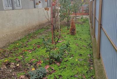 Casă cu 4 camere cu Teren 1000 Mp în Ciocile - 2
