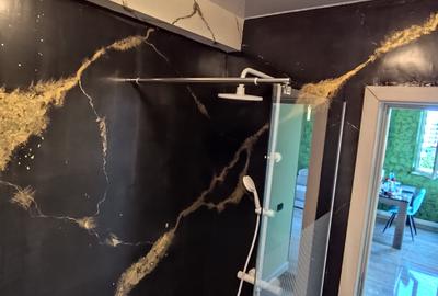 2 camere ( tip studio) , Mobilat și utilat - 8