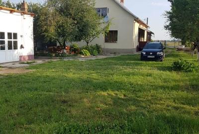 Casă cu 7 camere cu Teren 1450 Mp în Stupini - 5