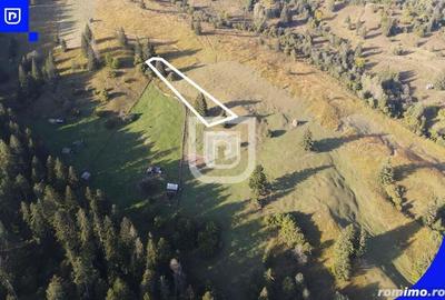 Teren situat in Frasin | BUCOVINA - 6