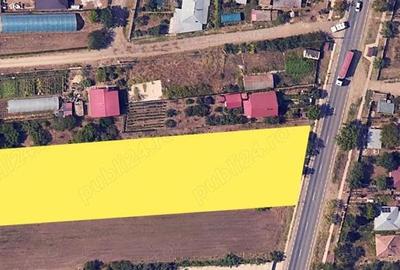 Teren intravilan 5000 mp Tamadau Mare deschidere 35 metri la DN3 - 2