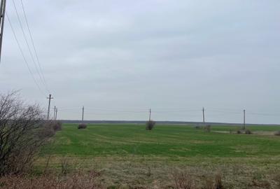 Giurgiu-Marsa Teren Agricol 8.5 Ha - 5