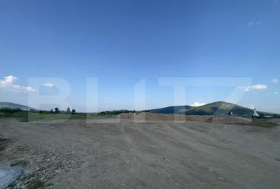 Oportunitate investi?ie: 53 ari in zona industriala, acc - 3