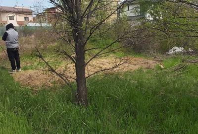 Spațiu comercial, în Domnești - 3