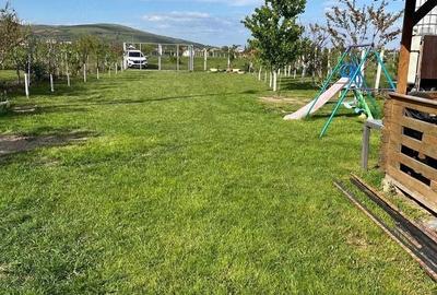 Teren agricol intravilan de 595 mp, în Ampoi 2 - 4
