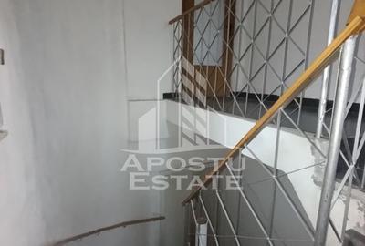 Casa individuala + garaj si anexa, oportunitate investitie, Sagului! - 19