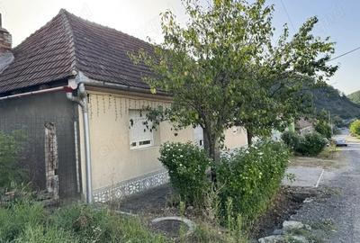 Vand casa Moniom Caras-Severin la 3 km de Resita - 5