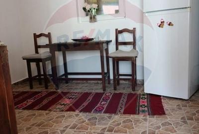 Vanzare casa la munte - zona turistica - Baia de Fier - 17