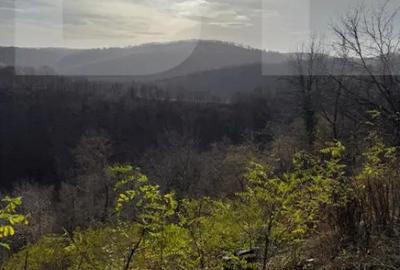Teren de 8271 mp, în Cerbăl - 6