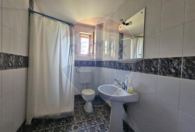 Casa / Vila cu 6 camere de vanzare - CORNU - 51