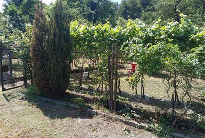 Casă individuală cu 12 camere cu Teren 1803 Mp în Central - 20