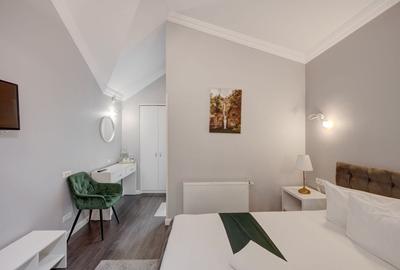 Vindem Afacerea ! Mini Hotel + Cafenea/ Restaurant ! Parcul Carol ! - 46