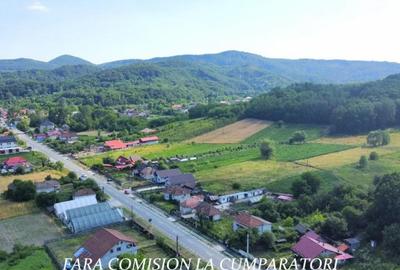 Casă cu 4 camere cu Teren 1730 Mp în Mihăești - 5