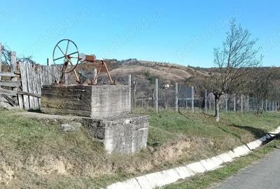 Casă cu 2 camere în Ezeriș