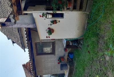 Casă individuală cu 3 camere cu Teren 1235 Mp în Voila - 5