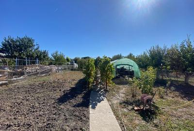 Casa spatioasa de vanzare in Mehala - 4 camere + garaj si terasa - 9