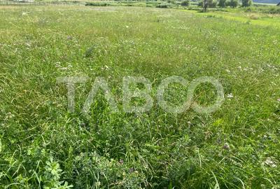 Teren intravilan 3450 mp Boita, 35 m deschidere, la 700 m de A1 - 1