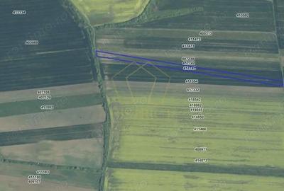 Teren de 10750 mp, în Vest - 2