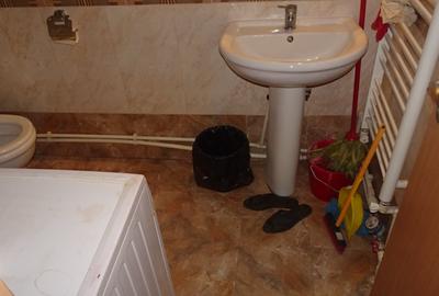 Garsonieră semidecomandată în Gojdu - 8