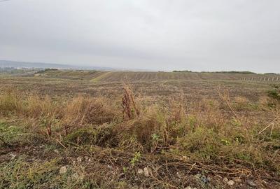 35euro/mp! Valea Lupului! Teren intravilan,28m l,oportunitate investitie! - 3